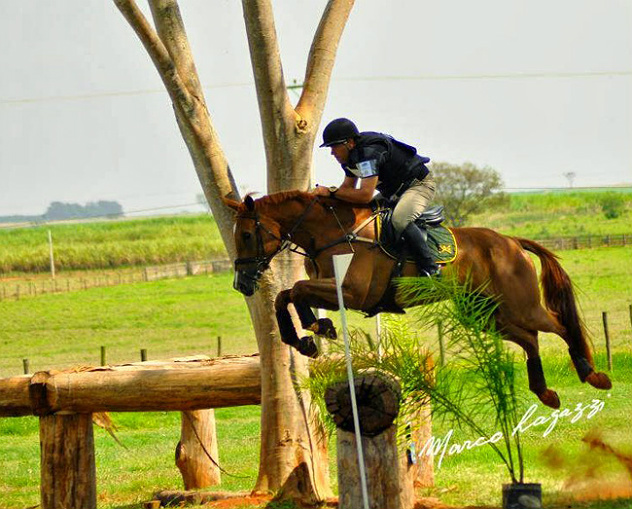 O Jogo De Ação Do Cavalo Dos Cavaleiros Do Jogador De Ireland V Zimbabwe Em  Jogos Do Campeonato Da Polo-cruz Do Campeonato Do Mundo Em Campos Do  Equestrain De Shongweni Fora De