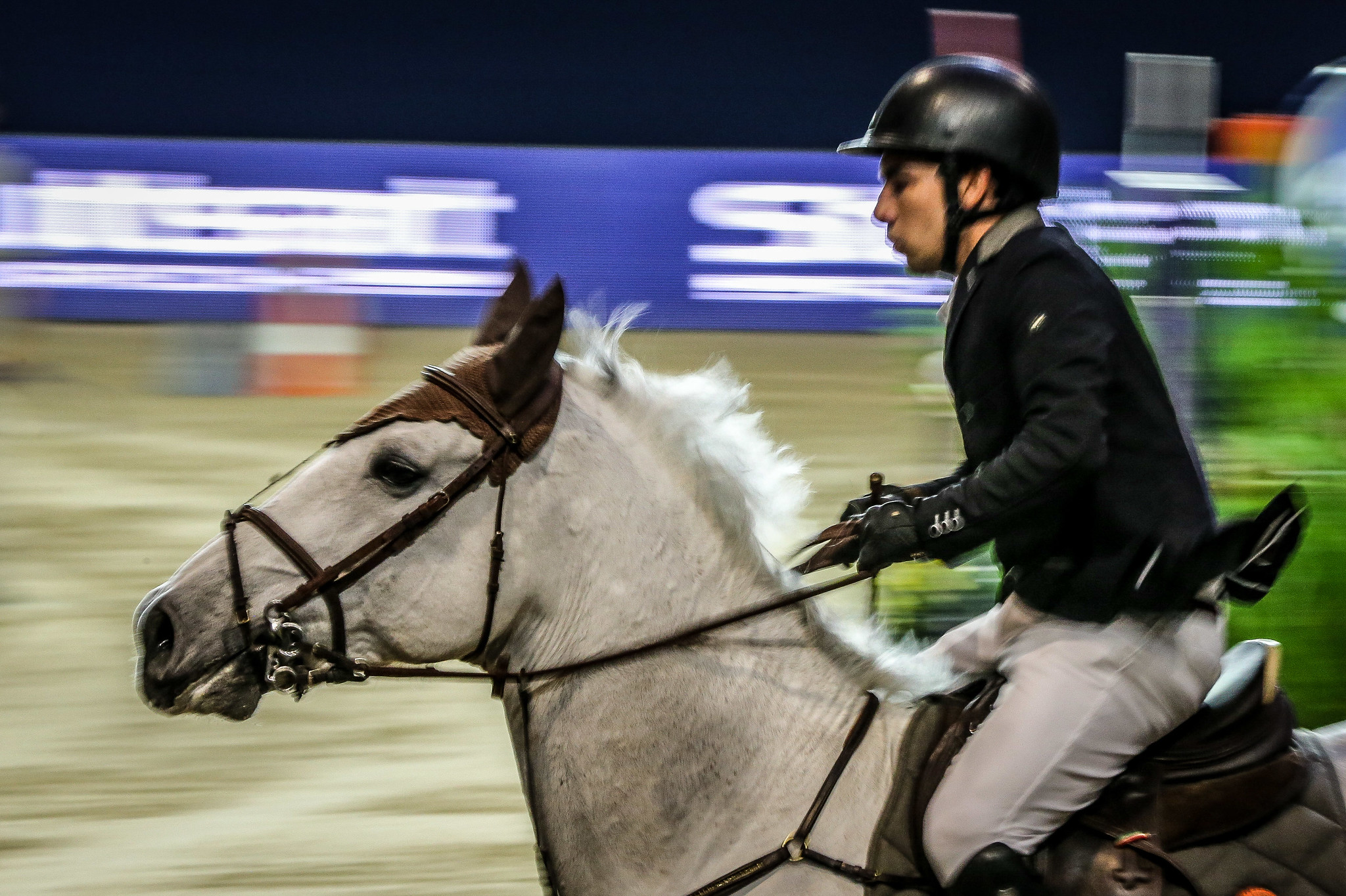 Cavalos nos Jogos Olímpicos, uma dança entre a liberdade e a saúde