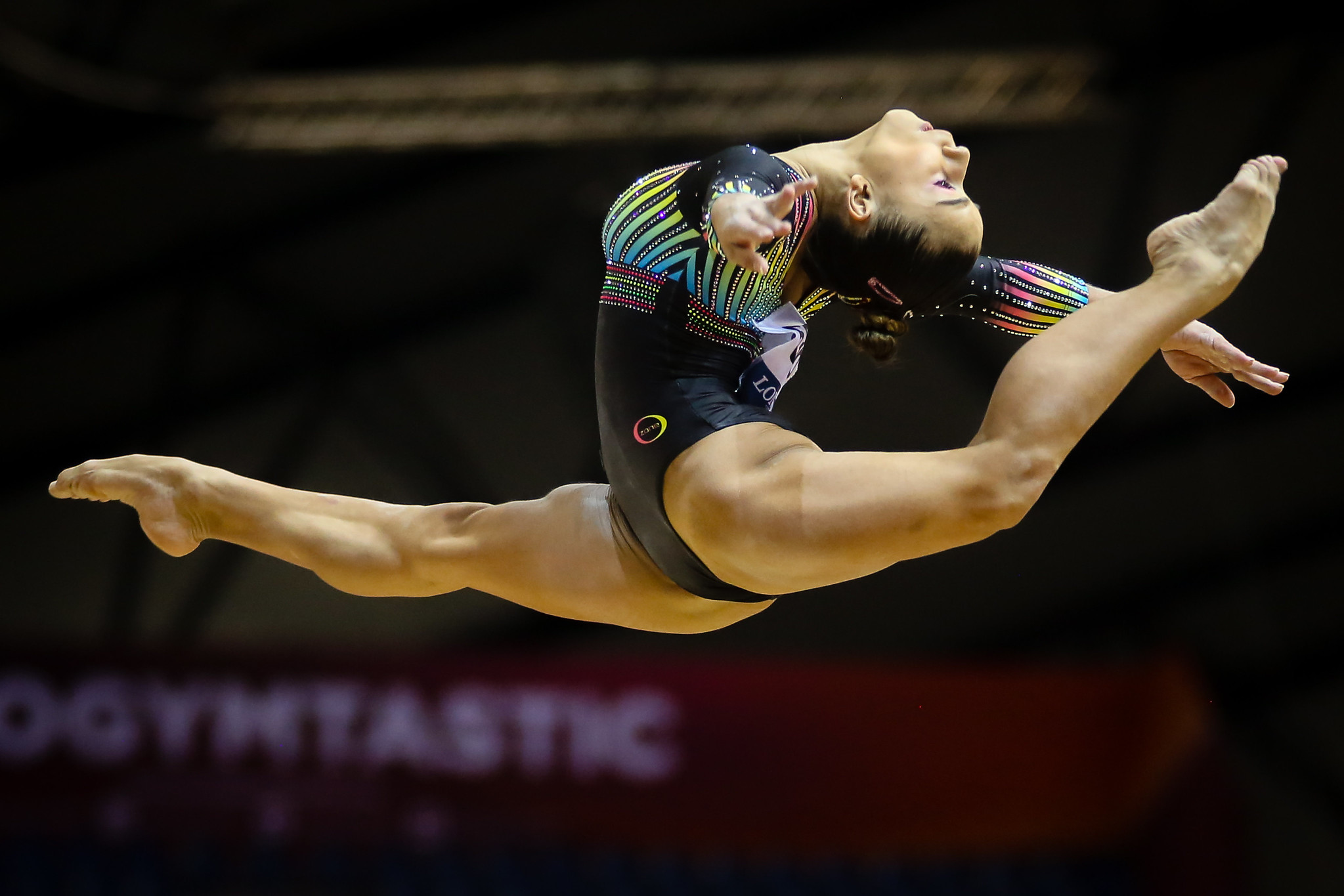 Vítor Borges - Serviços Fotográficos - Soma Leotards, Soma