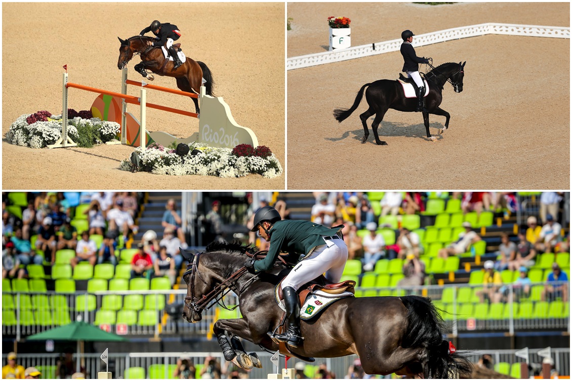 A complexa operação para receber os cavalos dos Jogos Rio 2016